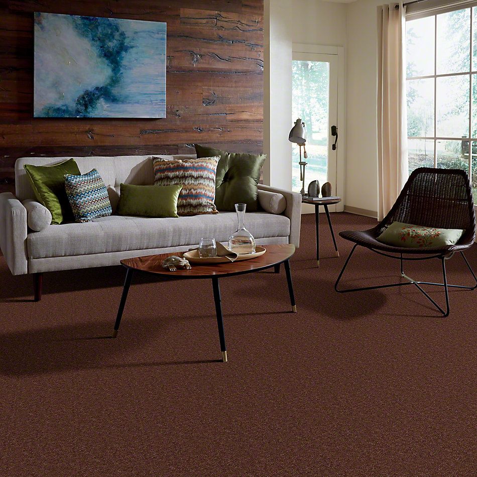 Shaw Floors Cascade II Leather Brown 52350_00774