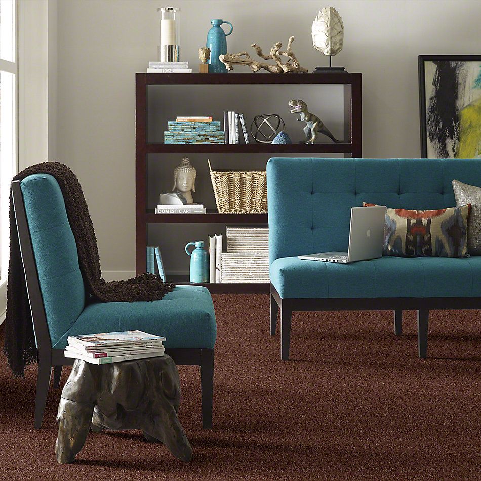 Shaw Floors Cascade II Leather Brown 52350_00774