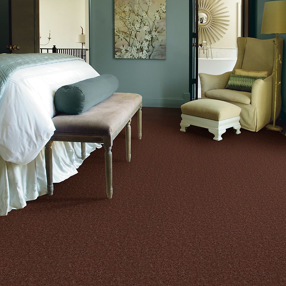 Shaw Floors Pioneer Leather Brown 00774_A3951