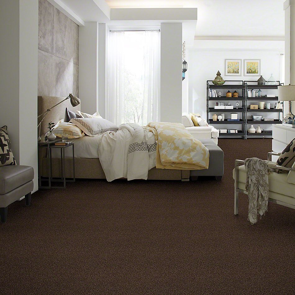 Anderson Tuftex SFA Chastanet II Brownstone 19SSF_00776