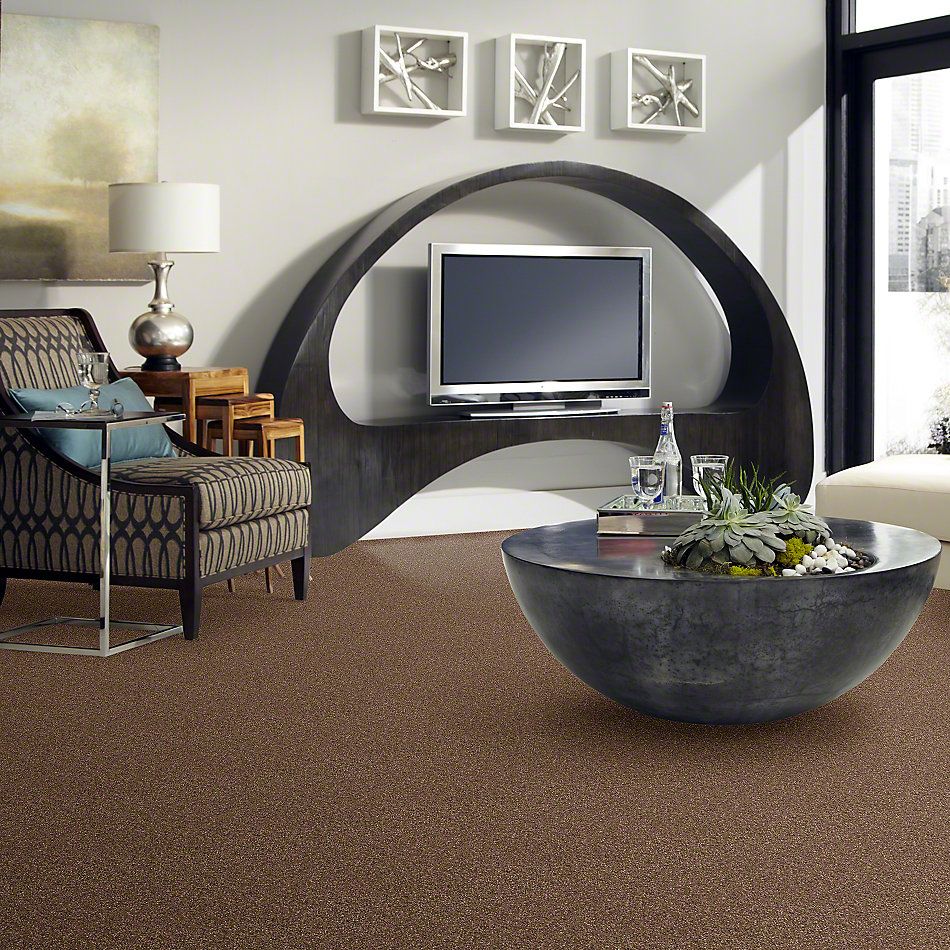 Anderson Tuftex Classics Interlude Mocha Latte 852AG_00776