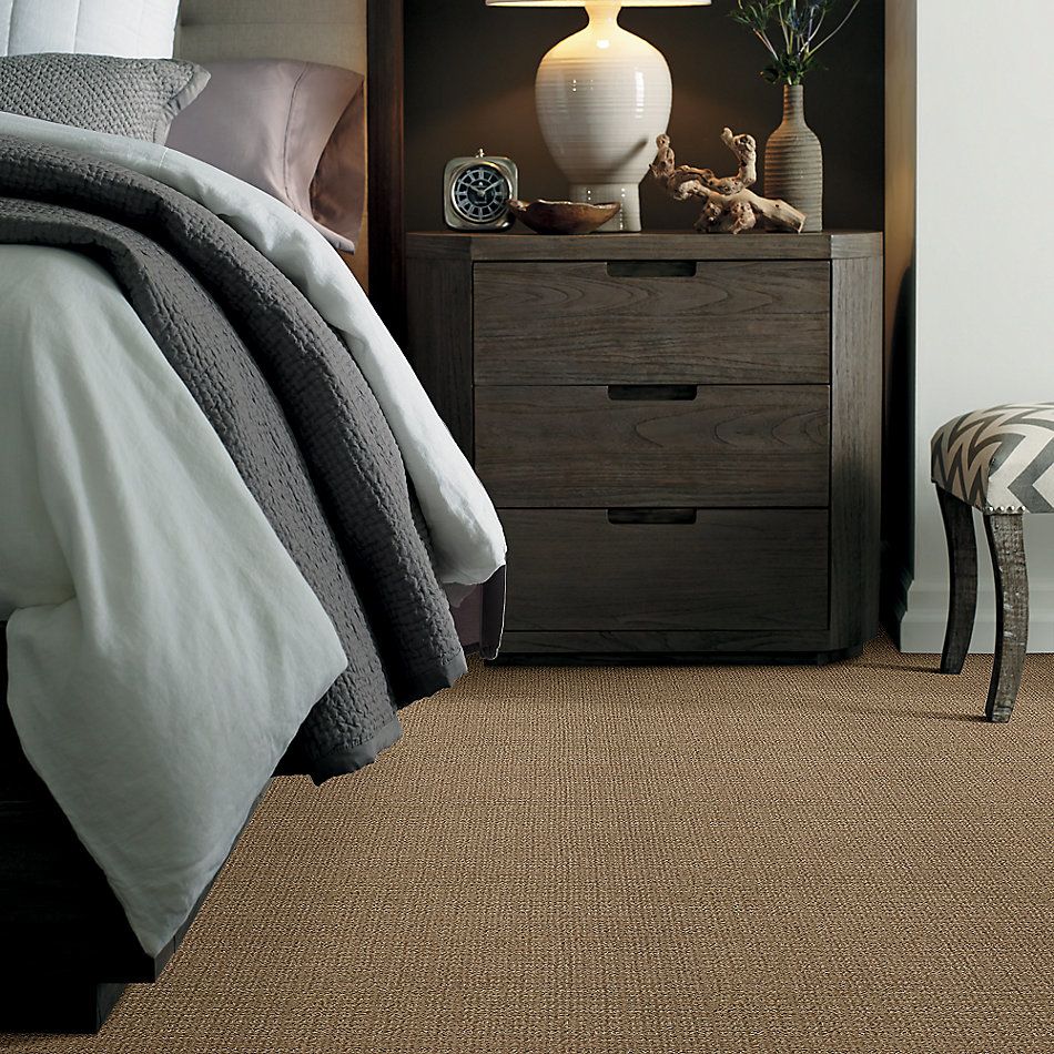Shaw Floors Value Collections Sensible Now Net Summerville 00776_E9773