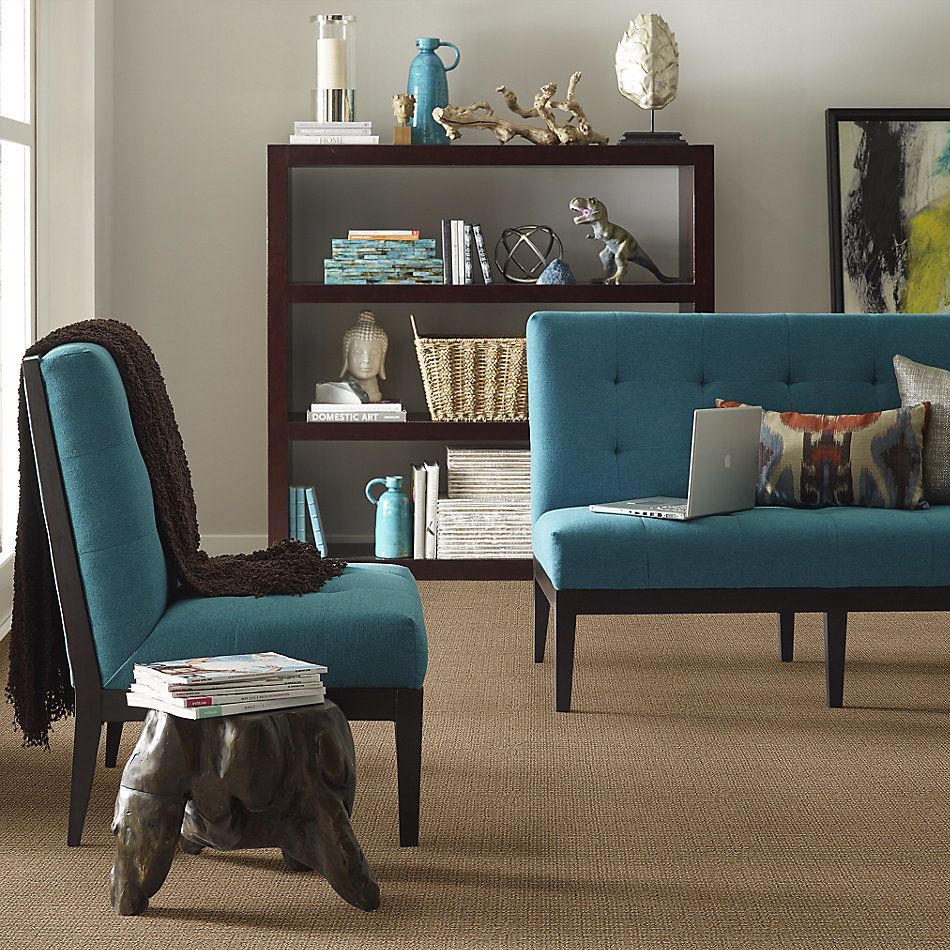 Shaw Floors Value Collections Sensible Now Net Summerville 00776_E9773