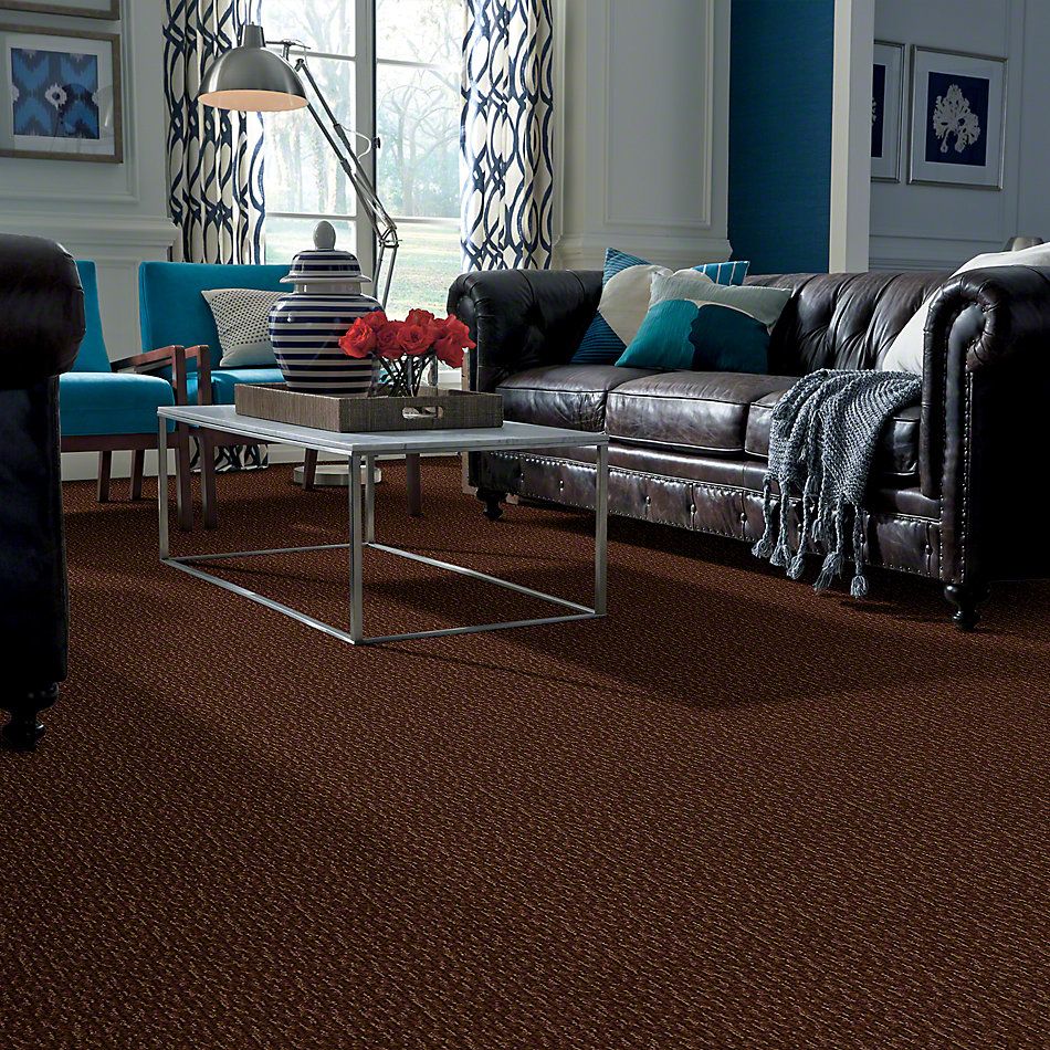Anderson Tuftex Avio Demetria Log Cabin 833AG_00778