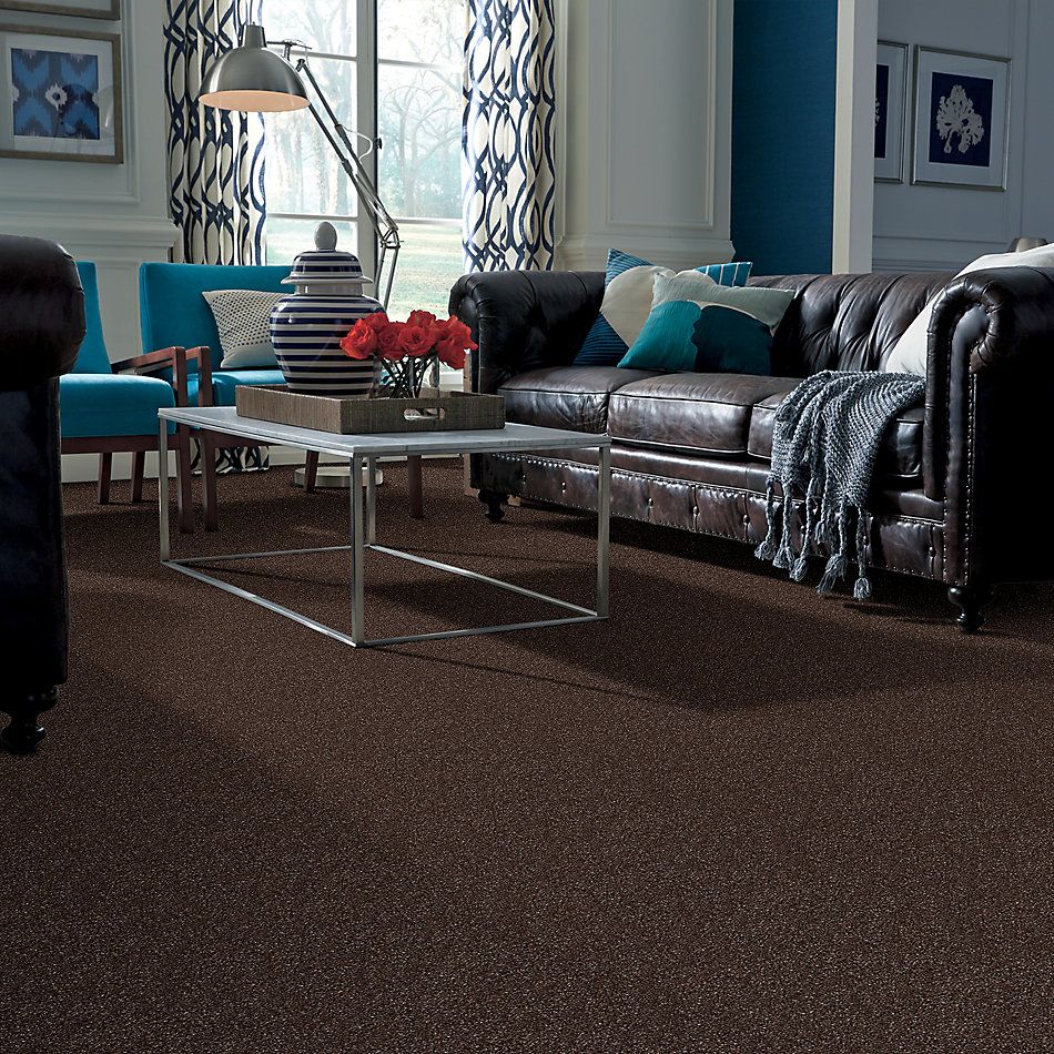 Anderson Tuftex Nfa/Apg Pure Style I Woodridge 00779_814AG