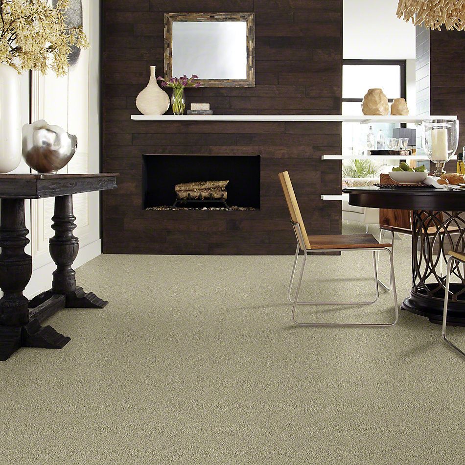 Shaw Floors Foundations Smart Thinking Mocha 00790_E9725