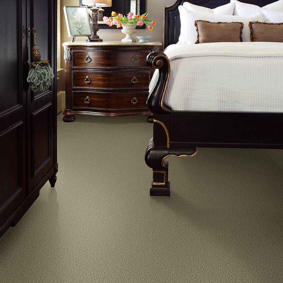 Shaw Floors Nfa Wishful Thinking Mocha 00790_NA457
