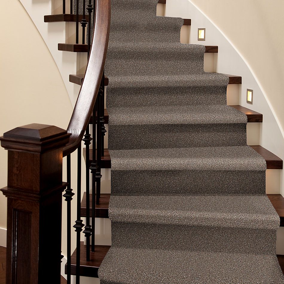 Shaw Floors Nfa Always On Time Cobble Brown 00798_NA456