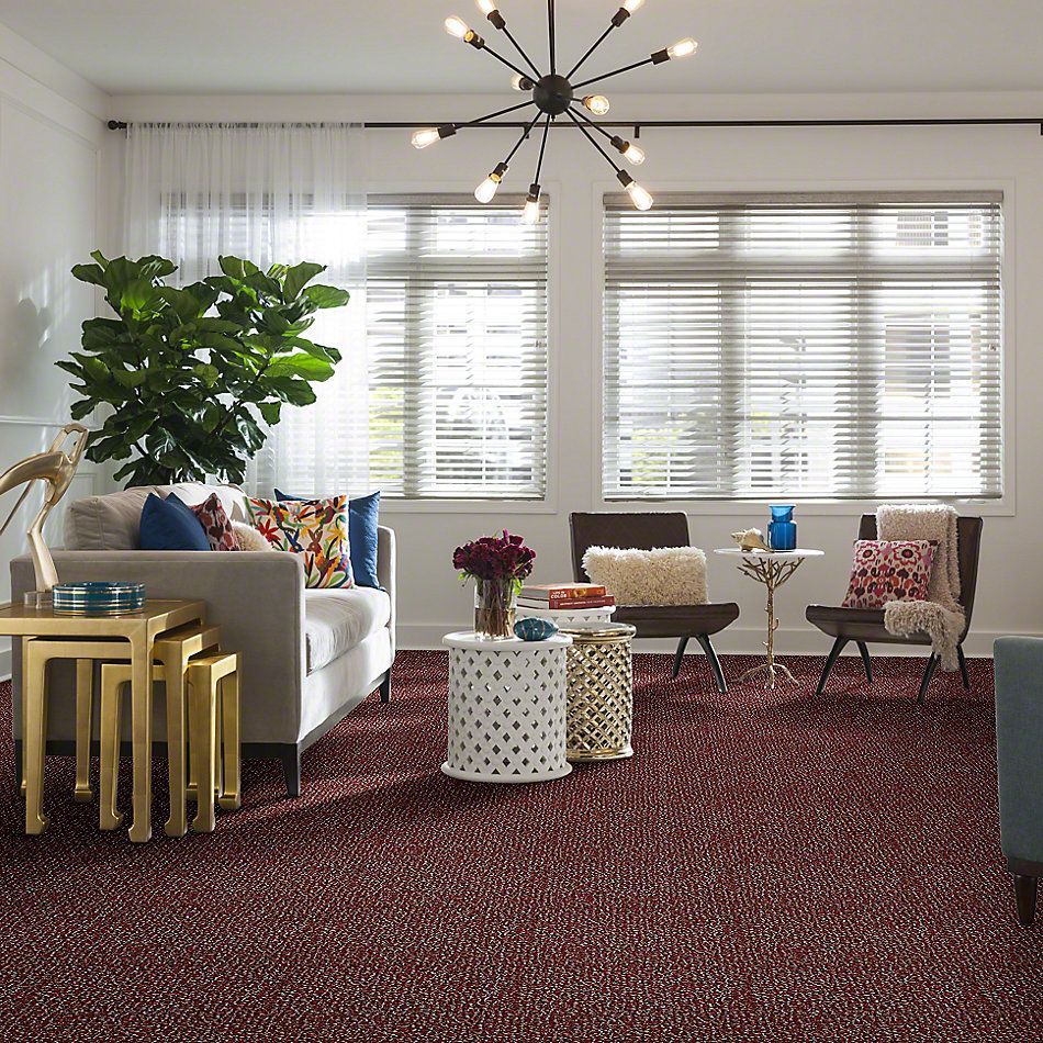 Shaw Floors Pure Waters 12 Cherry Grove 52H10_00800