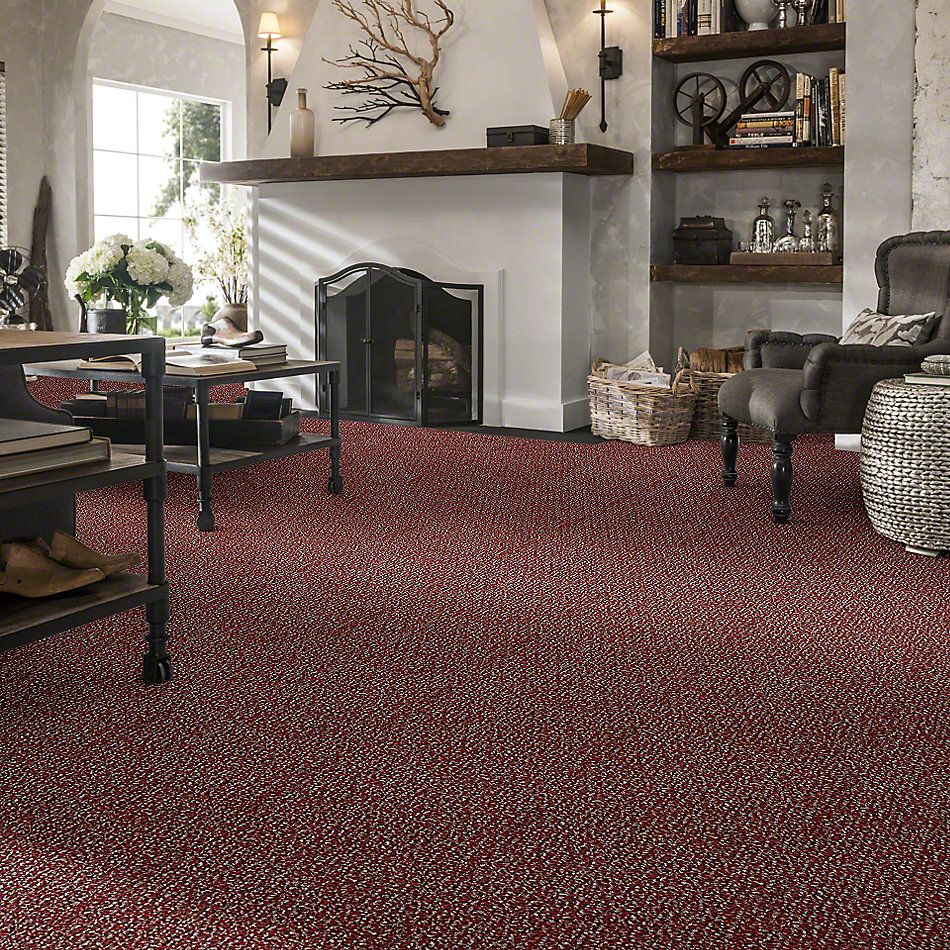 Shaw Floors Pure Waters 15 Cherry Grove 52H11_00800