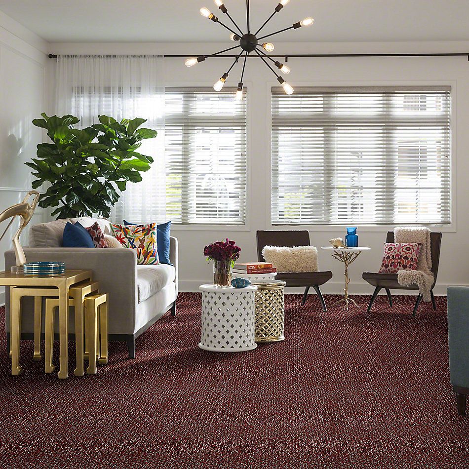 Shaw Floors Pure Waters 15 Cherry Grove 52H11_00800