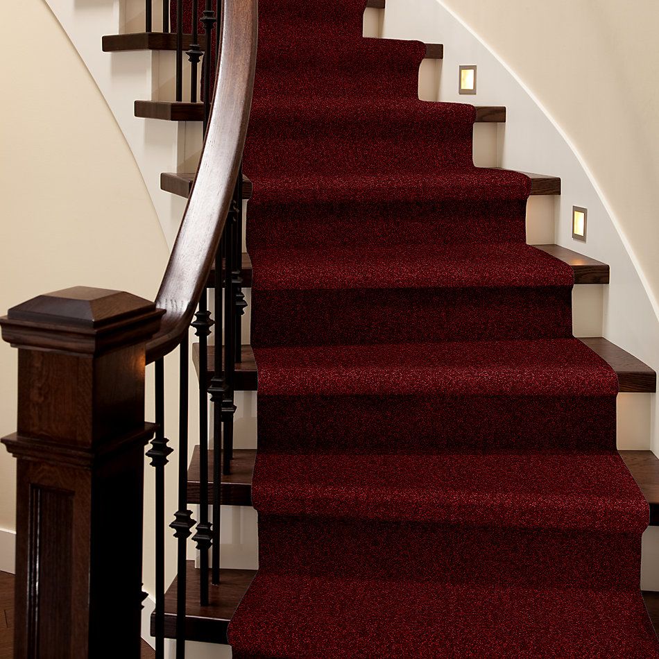 Shaw Floors Roll Special Xv863 Red Wine 00801_XV863
