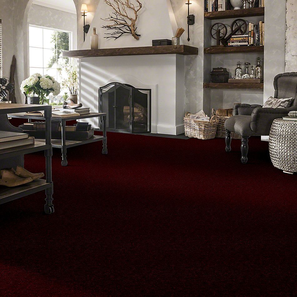 Shaw Floors This Is It French Berry 52E51_00802