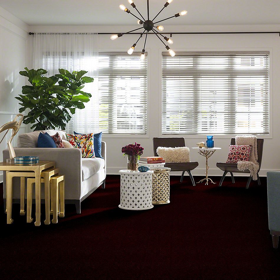 Shaw Floors This Is It French Berry 52E51_00802