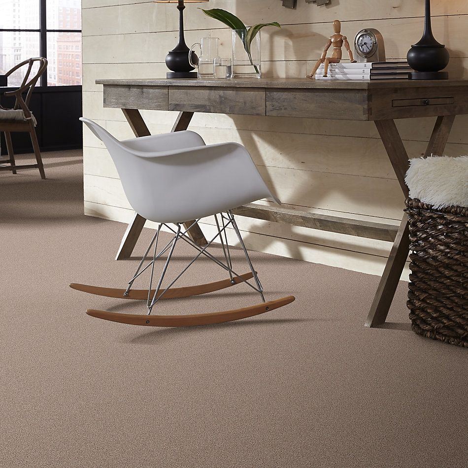 Shaw Floors Foundations Harmonious III Net Heirloom 00803_5E473
