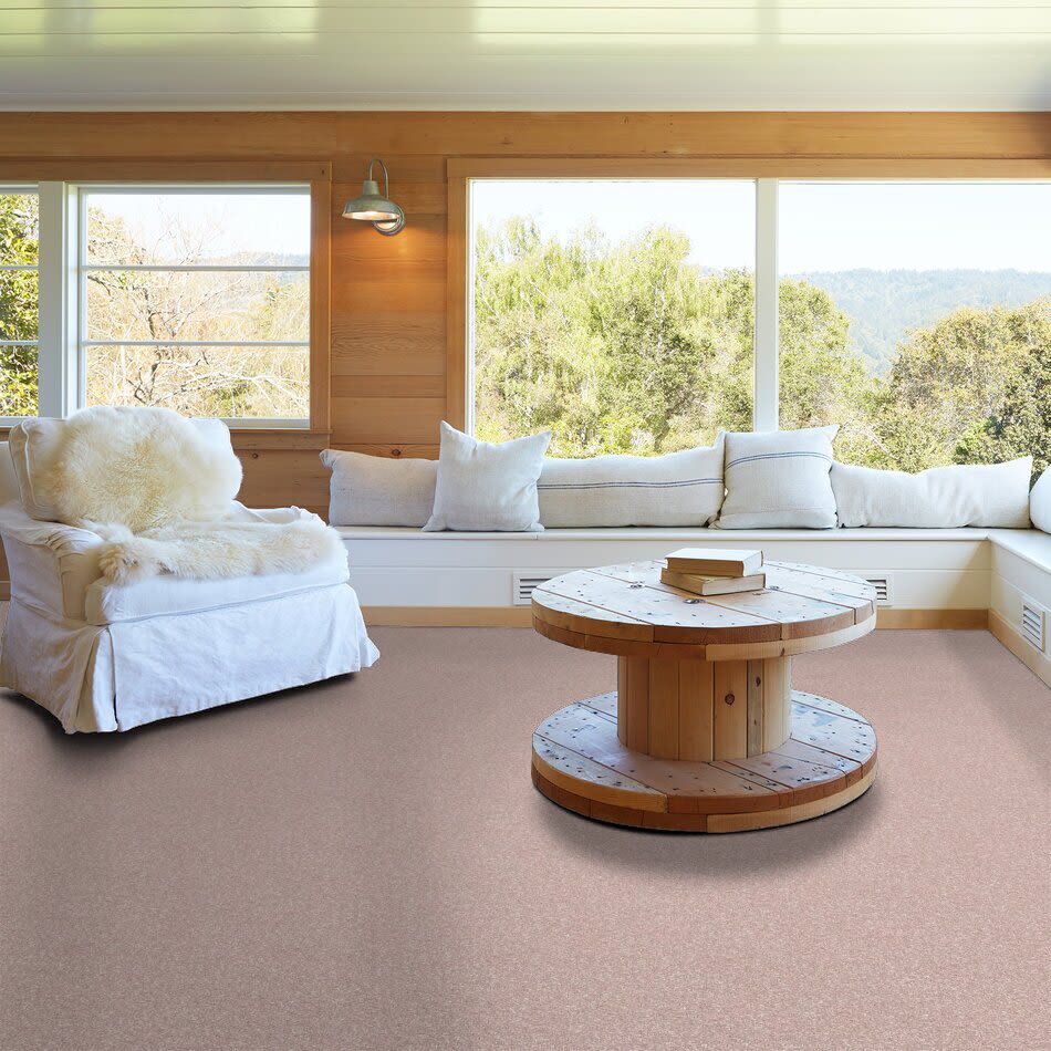 Shaw Floors Value Collections Cashmere Classic I Net Ballet Pink 00820_E9922