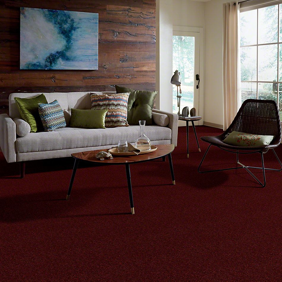 Anderson Tuftex Classics Interlude Fire Brick 852AG_00888