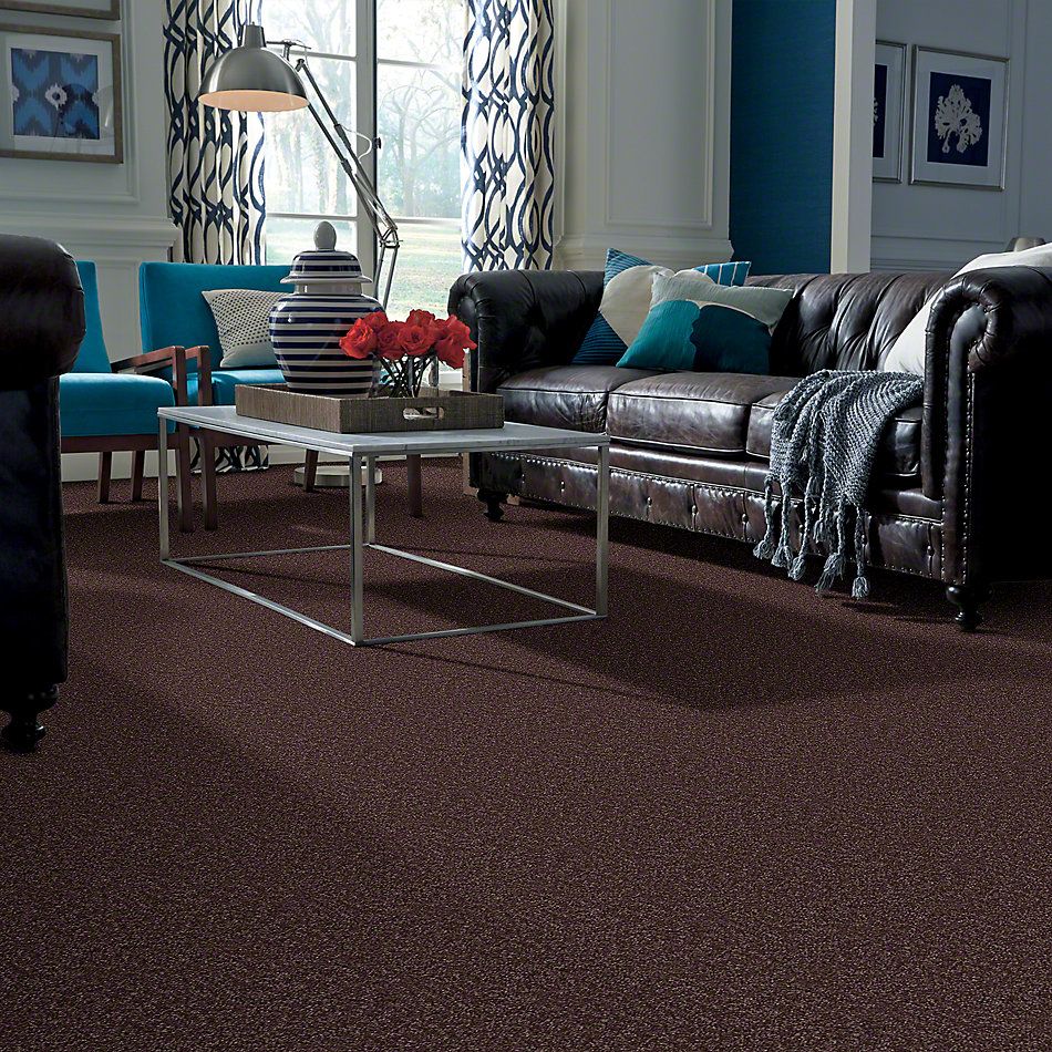 Shaw Floors Town Creek II Plum 52S30_00900