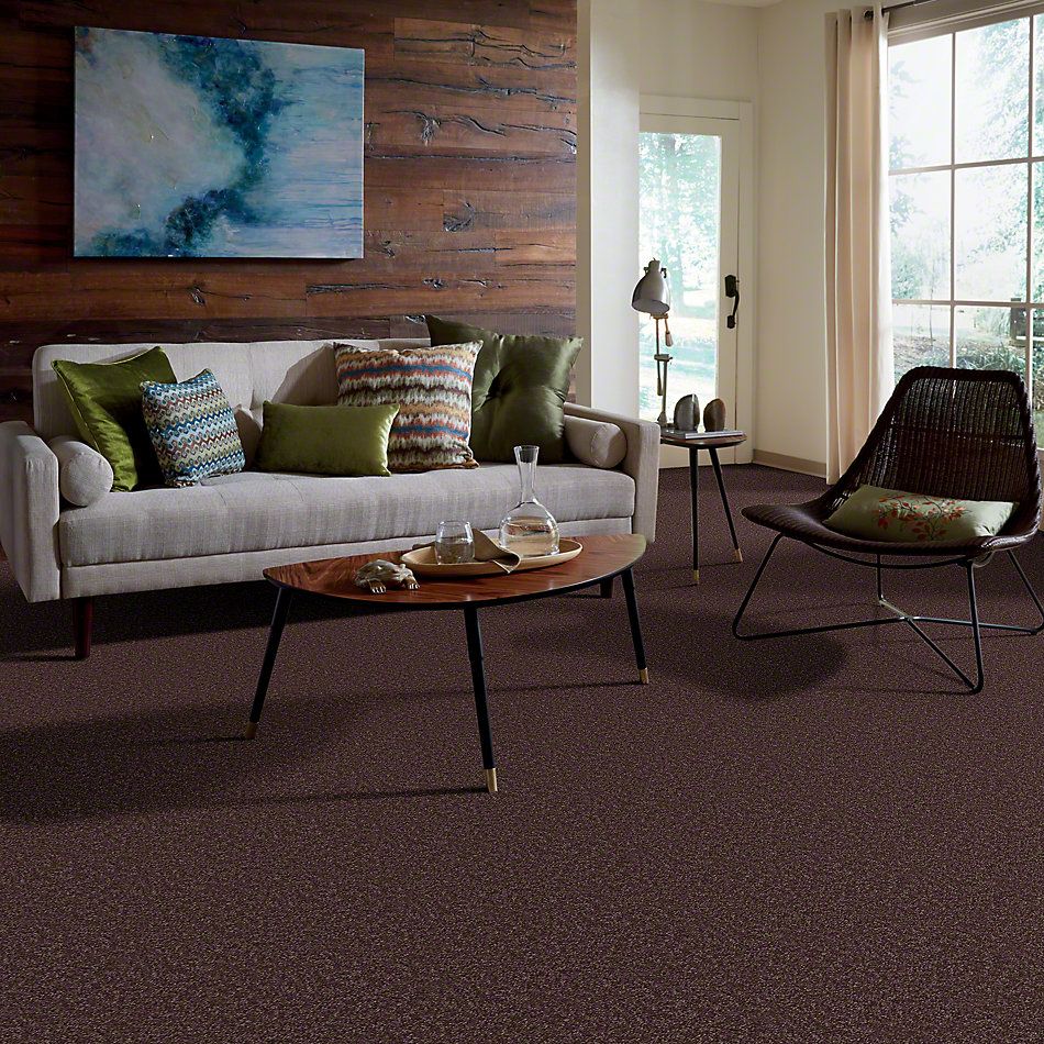 Shaw Floors Town Creek II Plum 52S30_00900