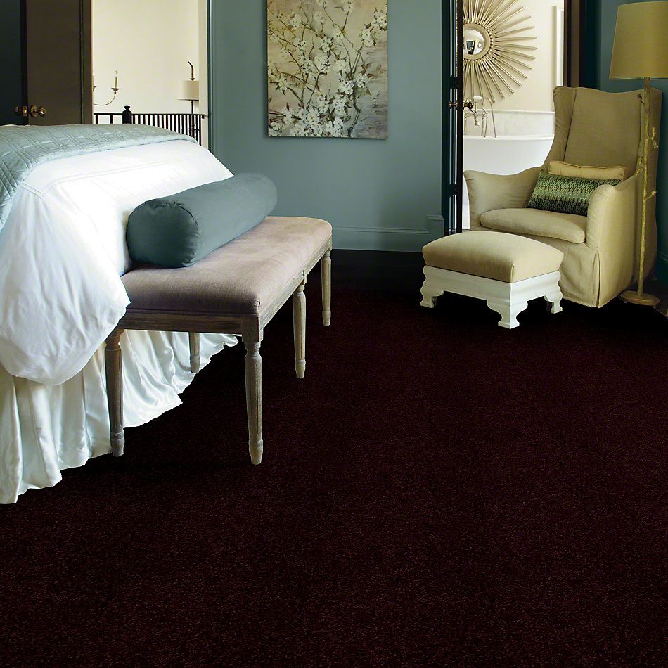 Shaw Floors Town Creek I 15′ Concord 52V12_00901
