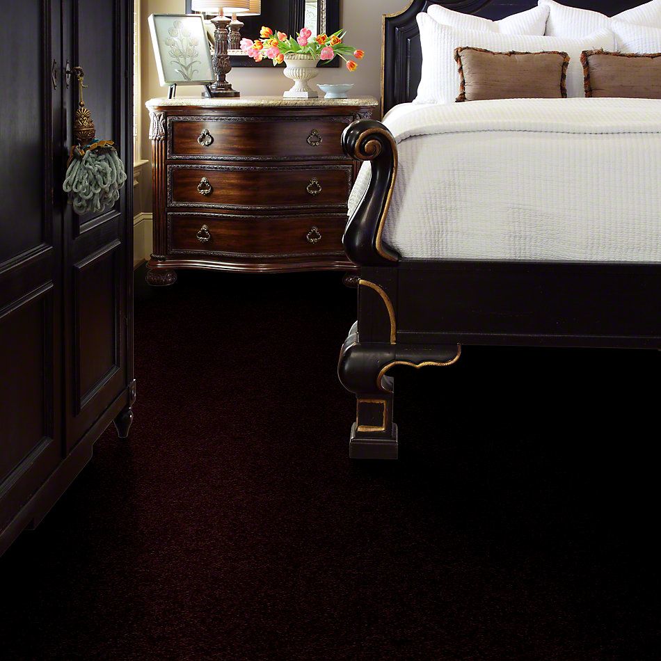 Shaw Floors Town Creek I 15′ Concord 52V12_00901