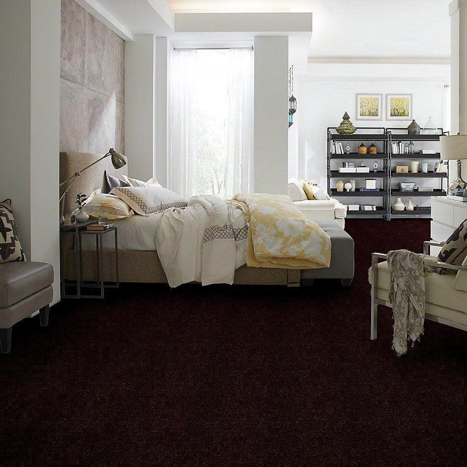 Shaw Floors Town Creek I 15′ Concord 52V12_00901