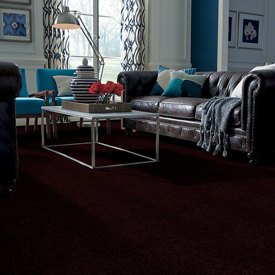 Shaw Floors Town Creek I 15′ Concord 52V12_00901