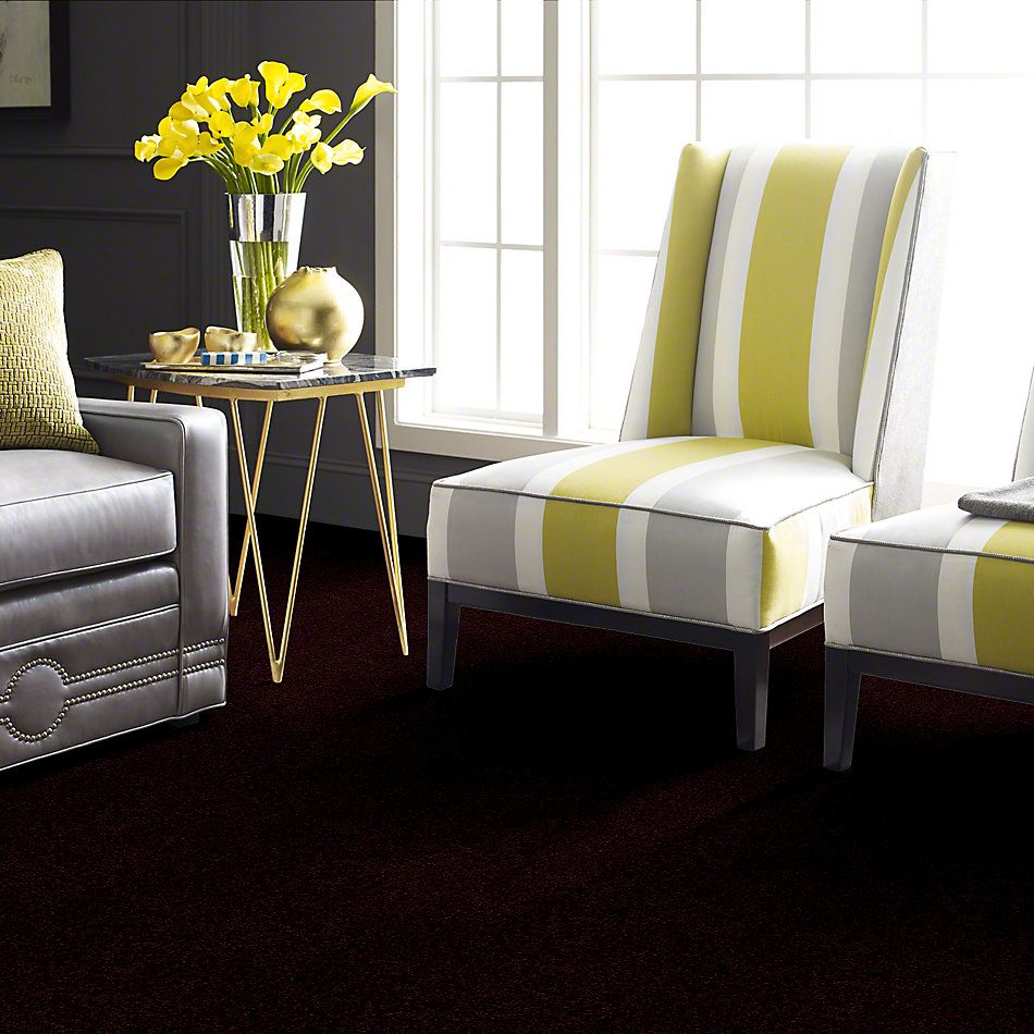 Shaw Floors Town Creek I 15′ Concord 52V12_00901