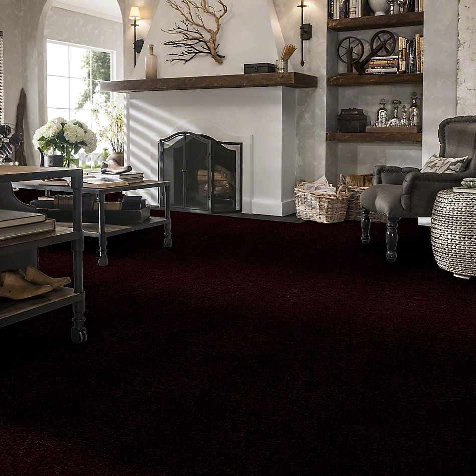 Shaw Floors Town Creek I 15′ Concord 52V12_00901
