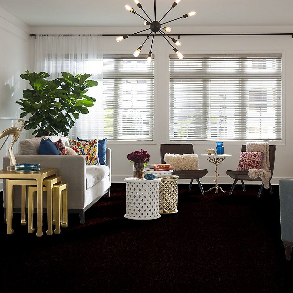 Shaw Floors Town Creek I 15′ Concord 52V12_00901