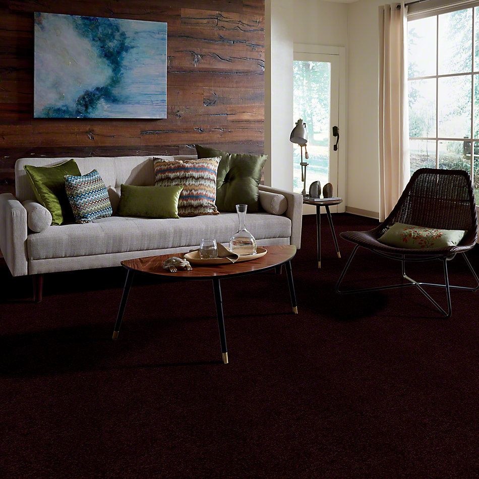 Shaw Floors Town Creek I 15′ Concord 52V12_00901