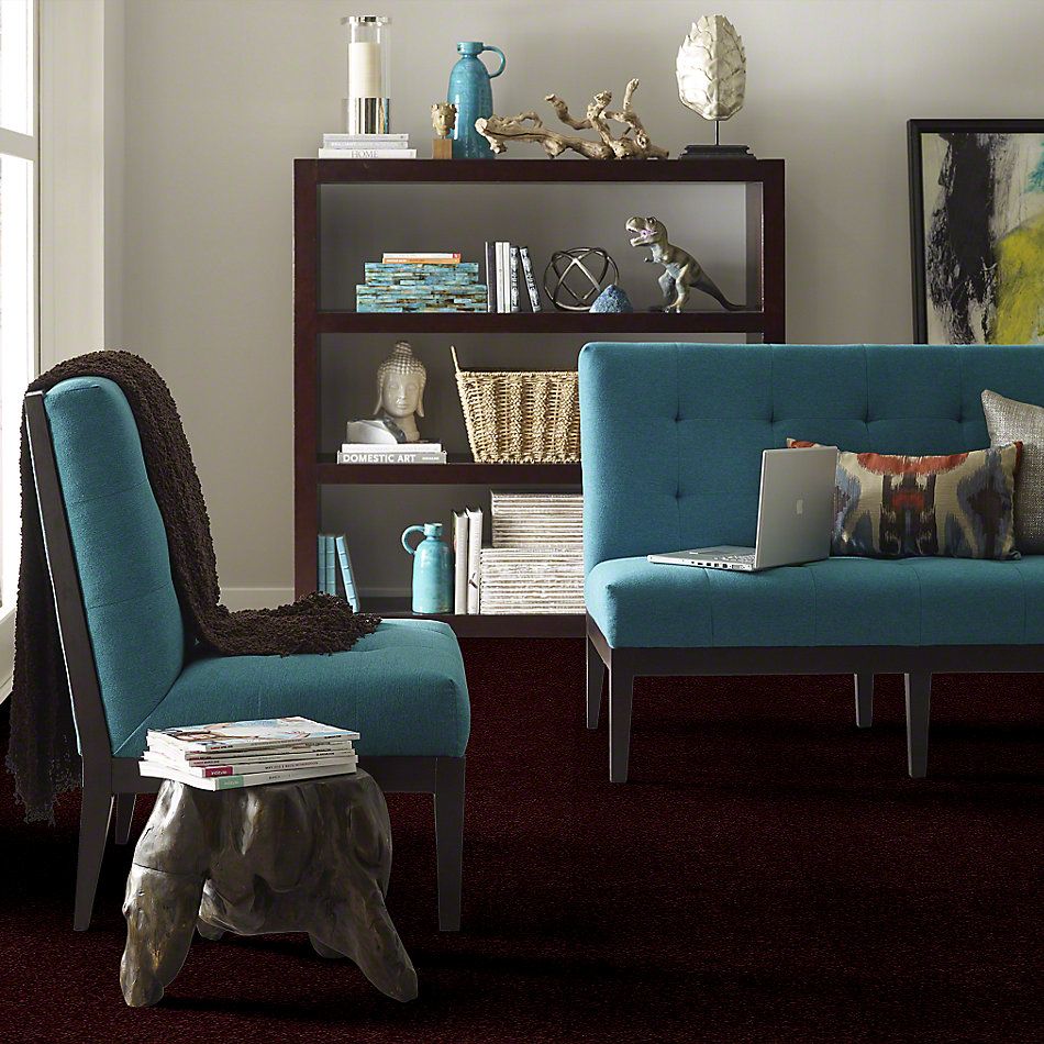 Shaw Floors Town Creek I 15′ Concord 52V12_00901