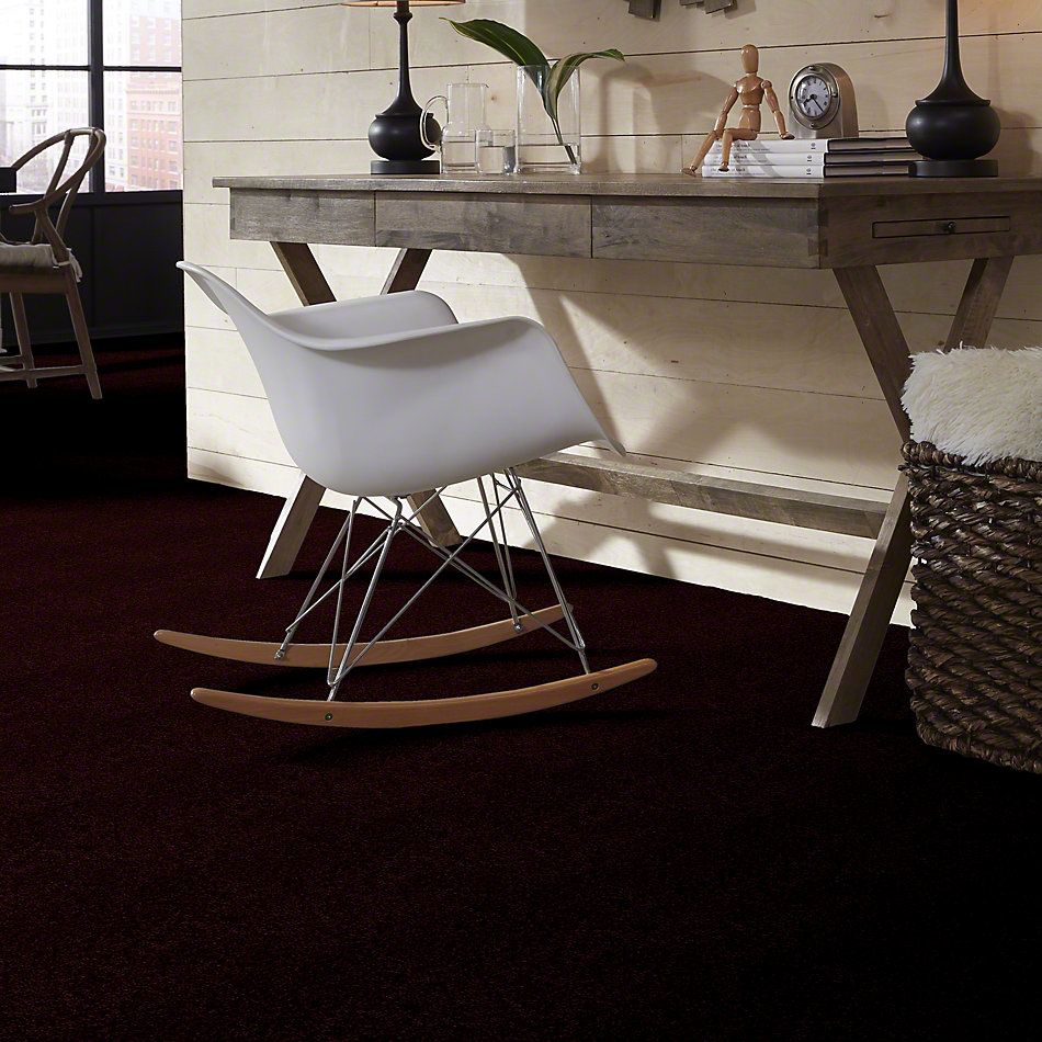 Shaw Floors Town Creek I 15′ Concord 52V12_00901