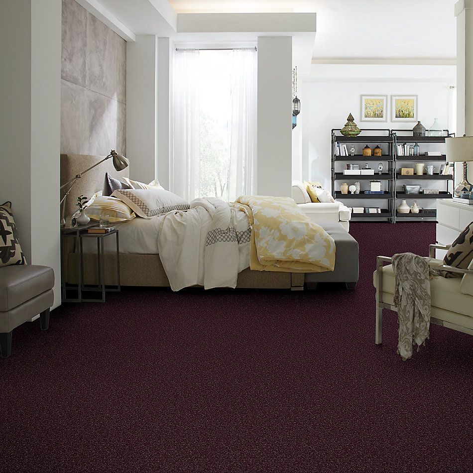Shaw Floors Shaw Design Center Larimore 12′ Royal Purple 00902_5C577