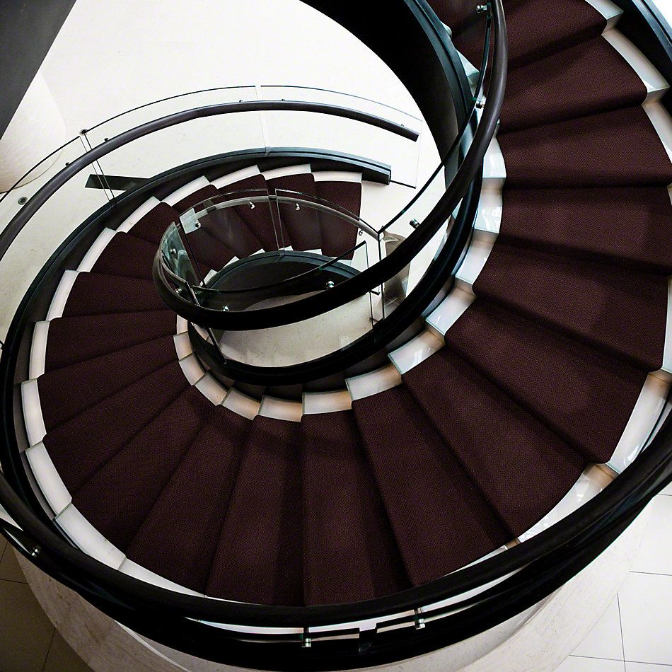 Shaw Floors Shaw Design Center Proven Identity Loop Plum Delight 00902_5C695