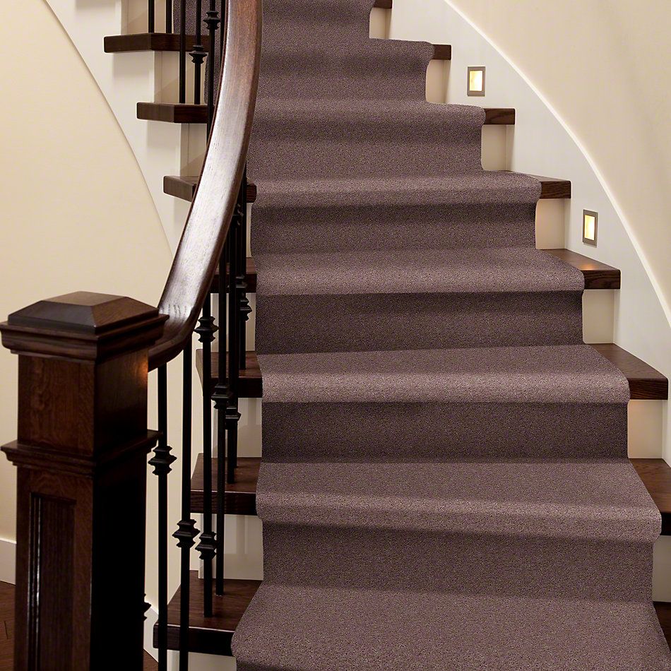 Shaw Floors Pelotage I Portland 00902_746A5