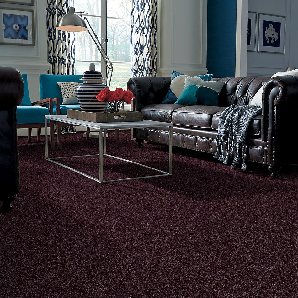 Shaw Floors SFA Drexel Hill I 12 Royal Purple 00902_EA053