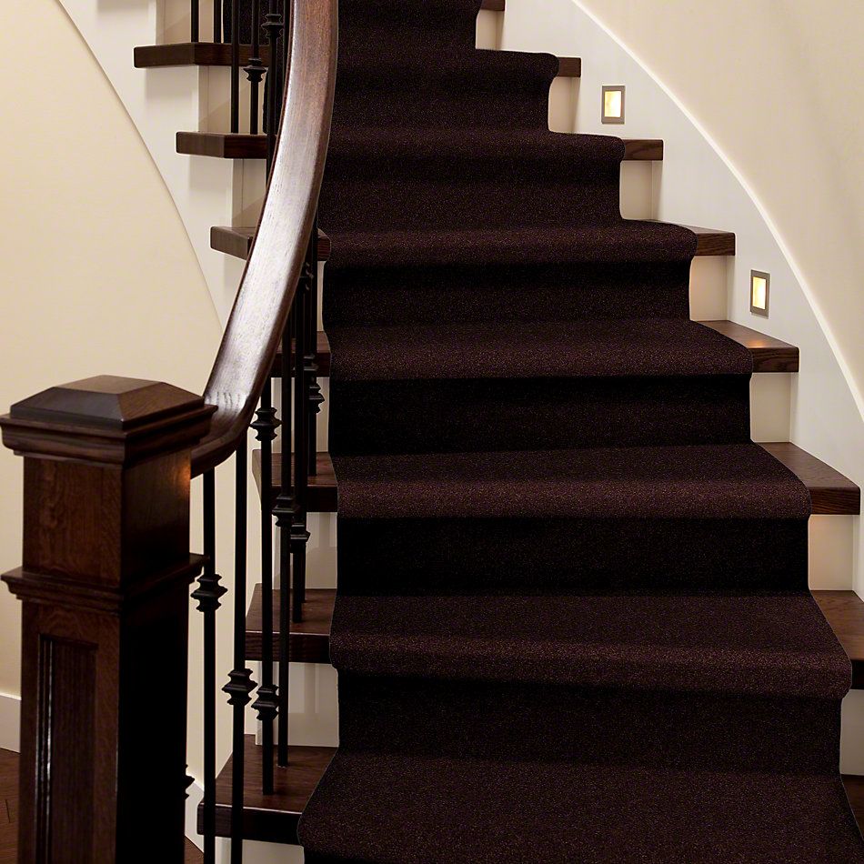 Shaw Floors SFA Loyal Beauty II Plum Delight 00902_EA163