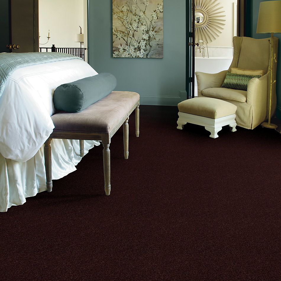 Shaw Floors Shaw Floor Studio Around The House I Plum Delight 00902_FS192