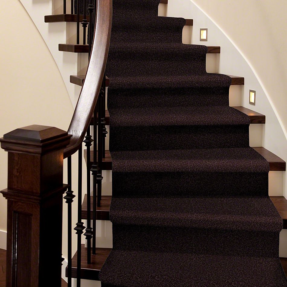 Shaw Floors Home Foundations Gold Easy Approve 15′ Royal Purple 00902_HGL52