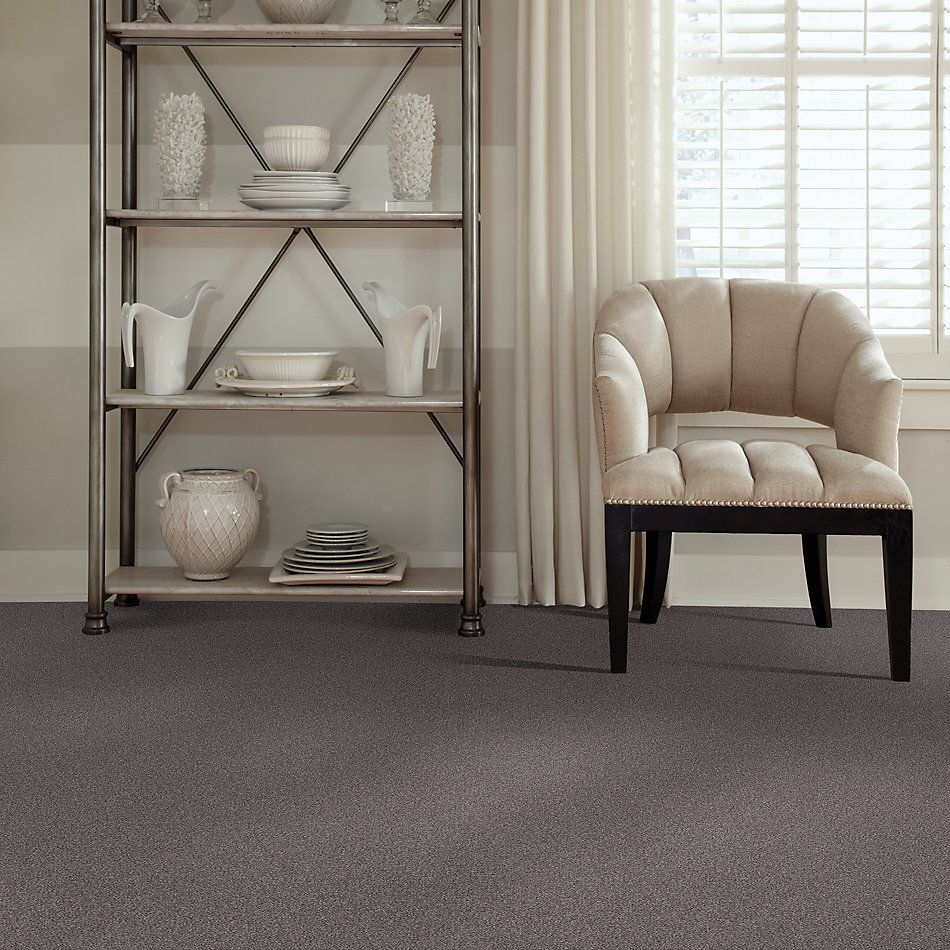 Shaw Floors Nfa Memorable I Deep Connection 00902_NA509