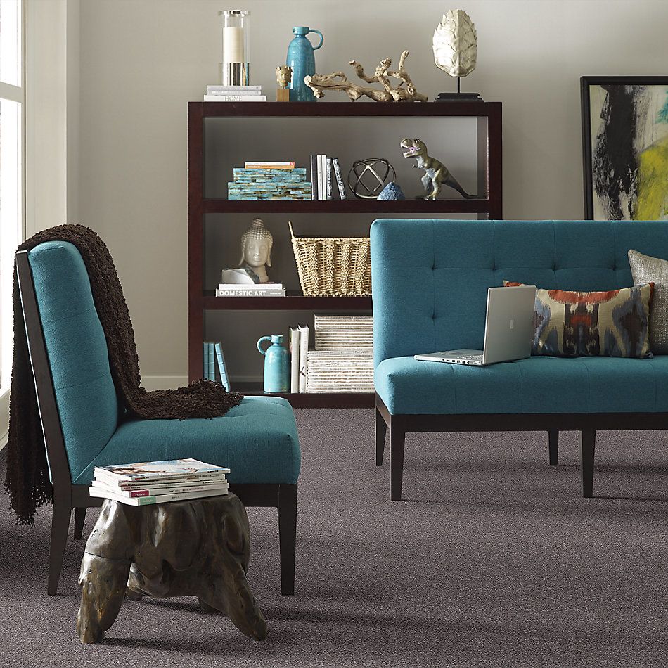 Shaw Floors Nfa Memorable III Deep Connection 00902_NA511