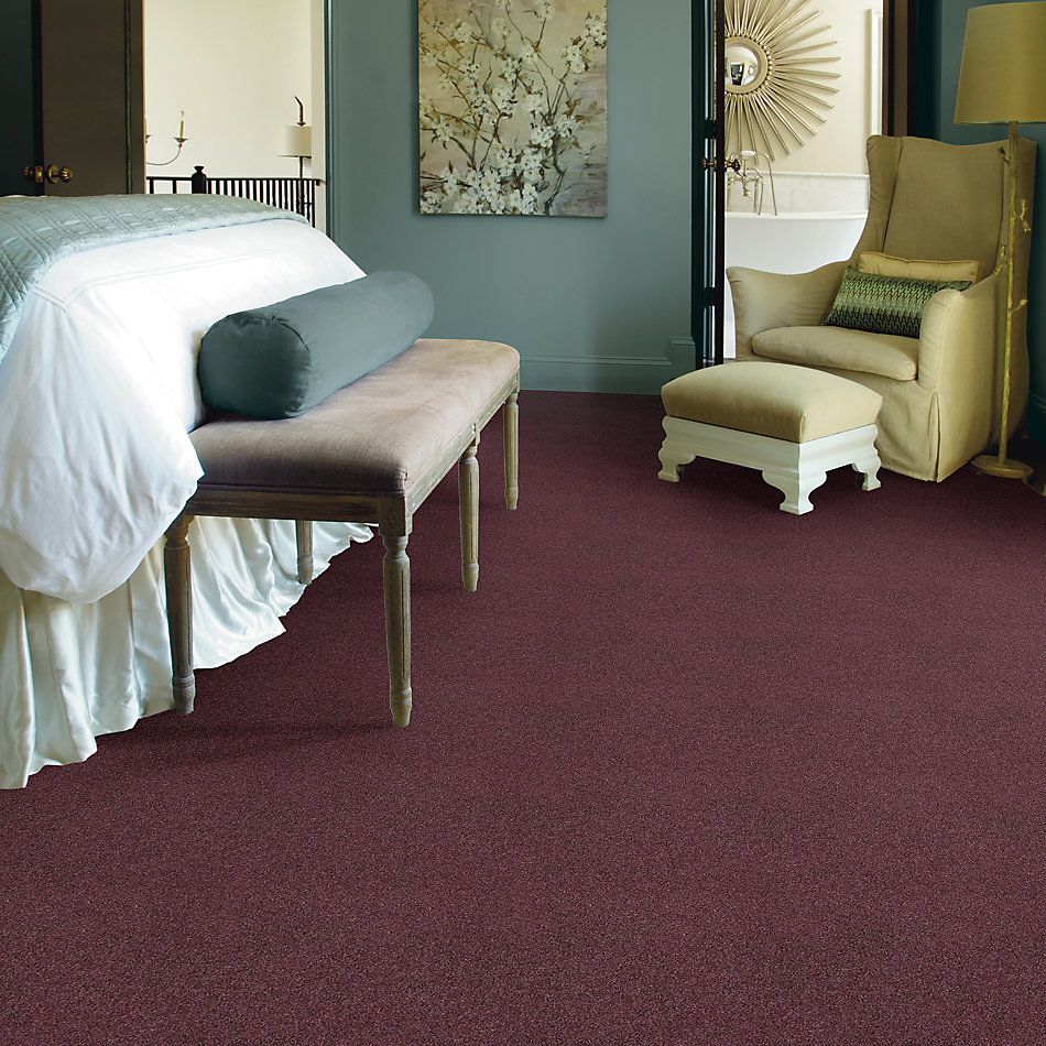 Shaw Floors Caress By Shaw Quiet Comfort Iv Andean Valley 00903_CCB33