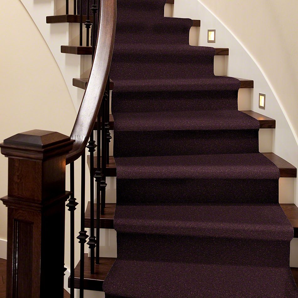 Shaw Floors Roll Special Xv425 Amethyst 00911_XV425