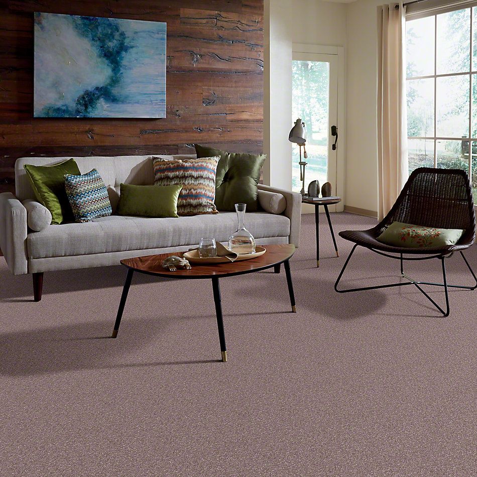 Shaw Floors Caress By Shaw Cashmere Classic I Heather 00922_CCS68