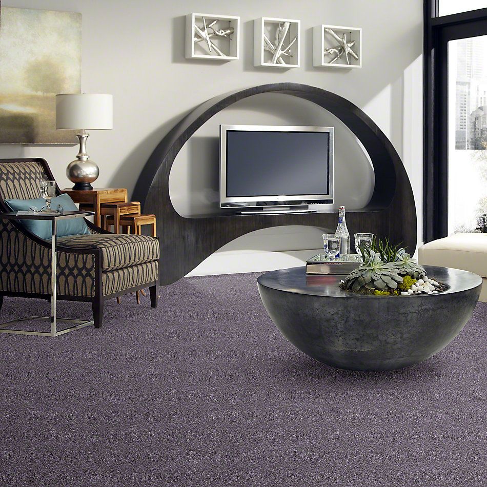 Shaw Floors Value Collections Dyersburg Classic 15′ Net Violet Crush 00930_E9193