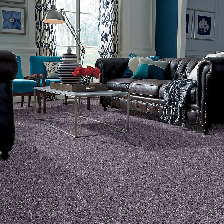 Shaw Floors Value Collections Dyersburg Classic 12 Net Violet Crush 00930_E9206