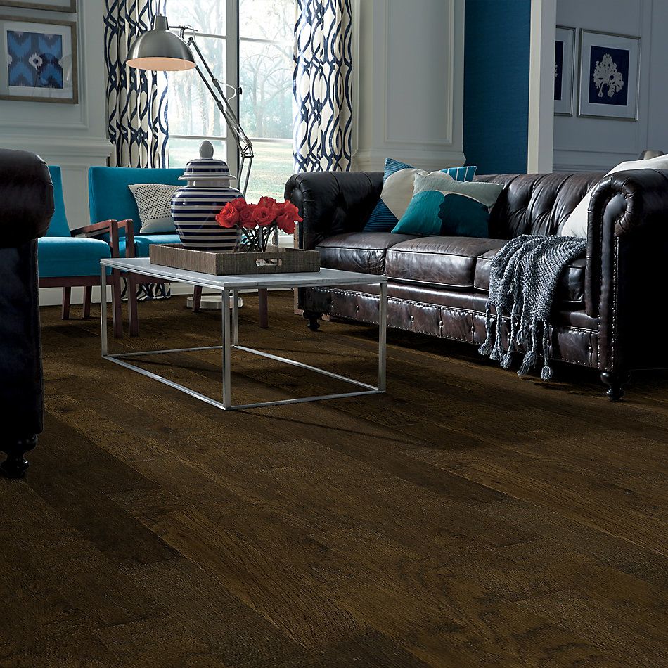 Shaw Floors Shaw Hardwoods Heathrow Bison 00944_XW019