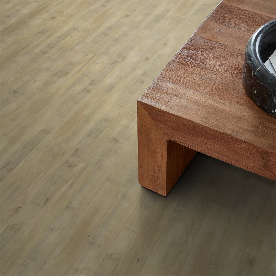 Shaw Floors Clayton Homes Garden Acres Forge 01004_C209Y