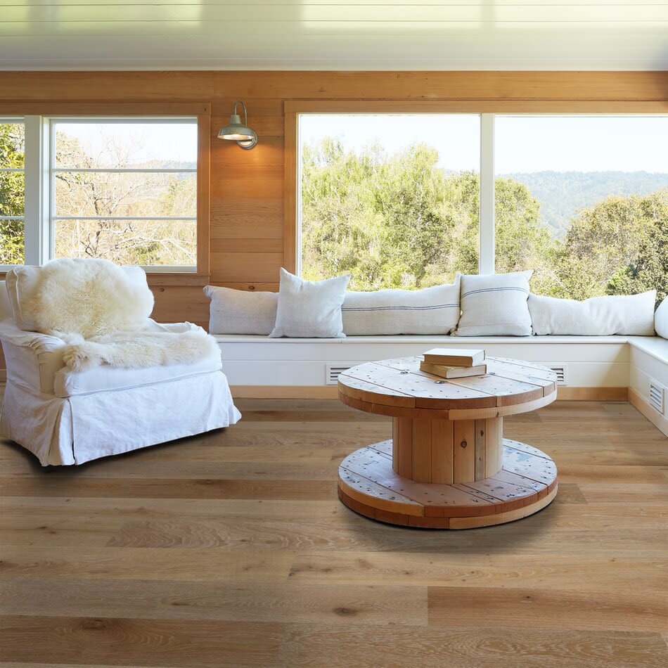 Shaw Floors Carpets Plus Hardwood Destination Swept Spirit Oak Chatelaine 01010_CH900